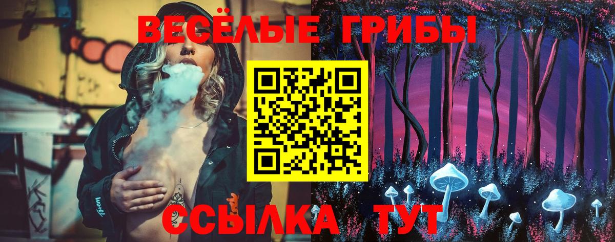 Псилоцибиновые грибы мицелий  Псилоцибиновые грибы мухоморы  Вход с VPN  Усть-Илимск 